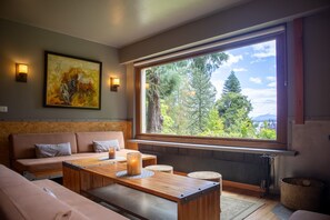 智能电视、壁炉