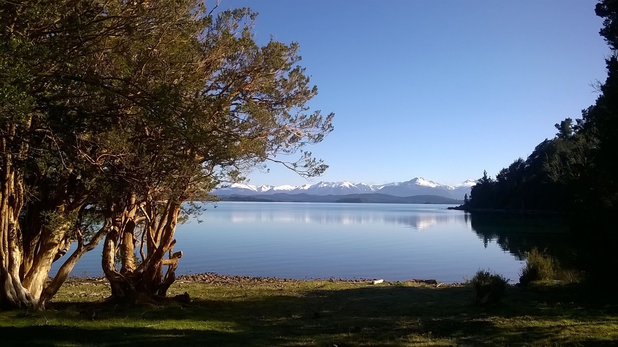 Ein ruhiger See mit einem Baum im Vordergrund und Bergen im Hintergrund.