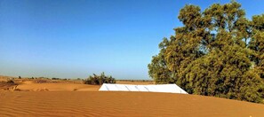 Front of property - Bivouac Erg Merzouga - Campsite (Taouz)