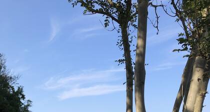 Maison de vacances idyllique unique sous le chaume sur la mer Baltique au cap Arkona