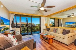 TV, DVD player, books