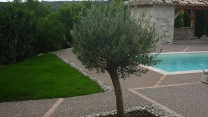 Un jardin avec un petit arbre, une piscine et un bâtiment en pierre.