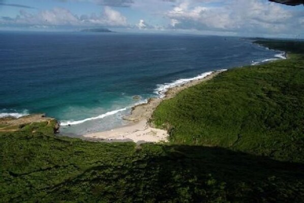 A coastal landscape with a beach and dense greenery.