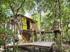 Property grounds - nature ecolodge cottage - The House In The Trees (Grande Terre)