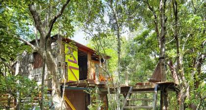 nature ecolodge cottage - The House In The Trees