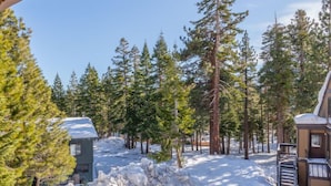 Et snøklædt skovlandskab med en hytte og en mindre bygning.