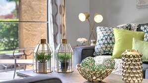 Una sala moderna con un sofá, cojines estampados y dos terrarios de vidrio con plantas.