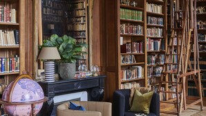 Une bibliothèque avec des étagères, un globe terrestre, une cheminée et une échelle.