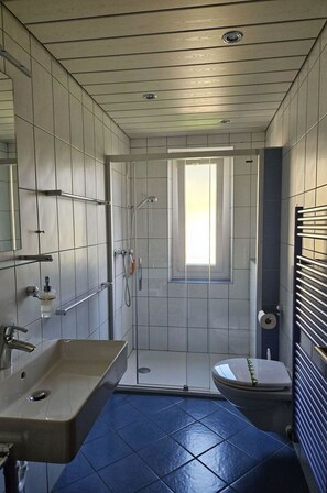 Modern bathroom with a walk-in shower, standalone sink, and toilet.