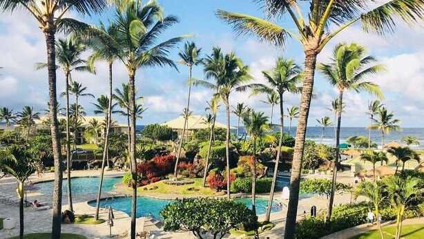 Um resort com piscina, palmeiras e vista para o oceano.