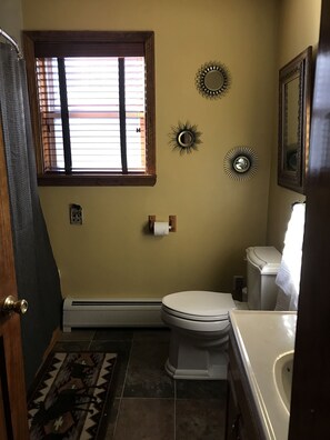 Combined shower/tub, hair dryer, towels, soap