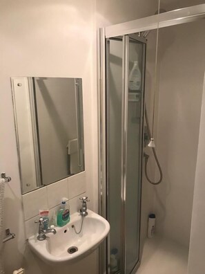 Wilde Victorian Room & private Bathroom | Bathroom