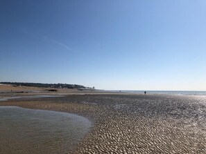 Beach nearby - Cinque Ports Retreat (Hastings)