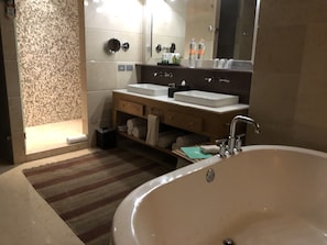 Hair dryer, towels, shampoo, toilet paper