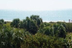 Unclassified image, 3 of 18, button