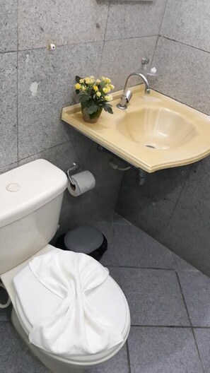 Douche, serviettes fournies