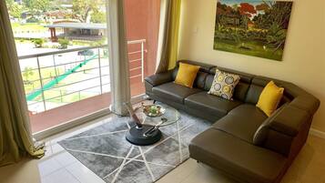 Flat-screen TV, Netflix, streaming services