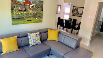 Flat-screen TV, Netflix, streaming services