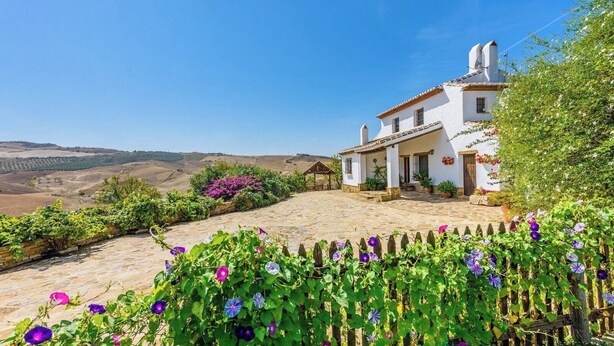 Eine weiße Villa mit einer Steinterrasse, umgeben von üppigem Grün und violetten Blumen.