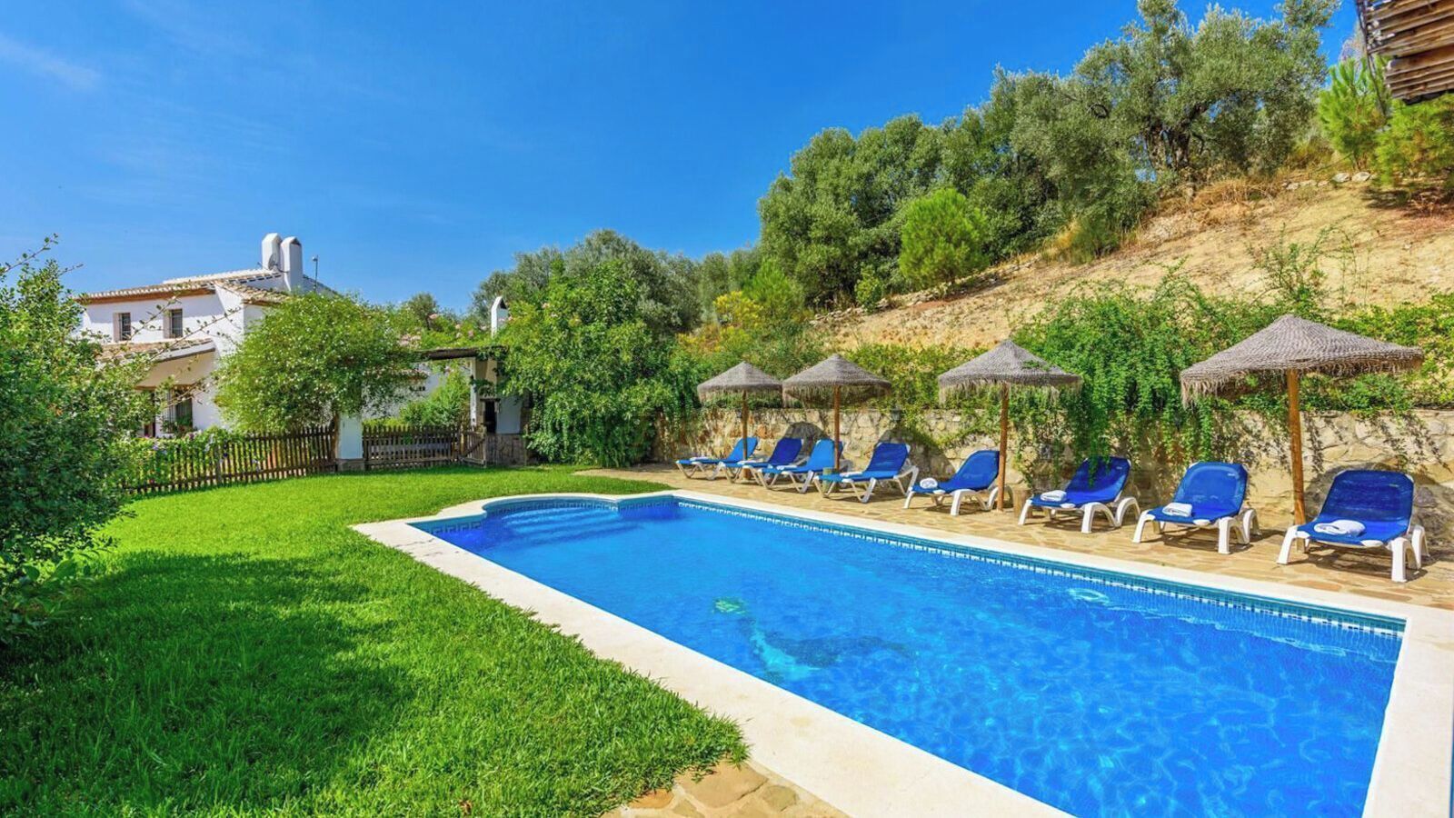 A swimming pool with blue water, surrounded by a grassy area and trees.