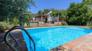 A swimming pool with a metal ladder, surrounded by greenery and a stone wall.
