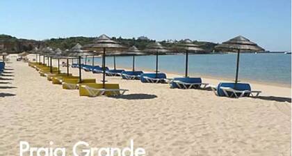 Three Palms Apartment