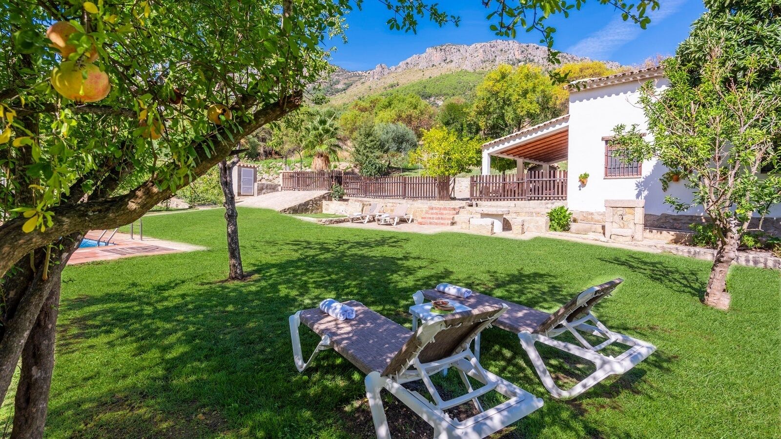 Un jardin avec une piscine, des chaises longues et un bâtiment blanc doté d’une terrasse.