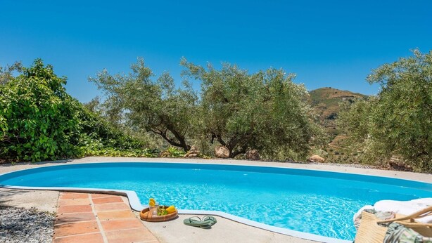 Une piscine à l’eau d’un bleu cristallin, entourée d’oliviers et bordée d’un paysage vallonné.