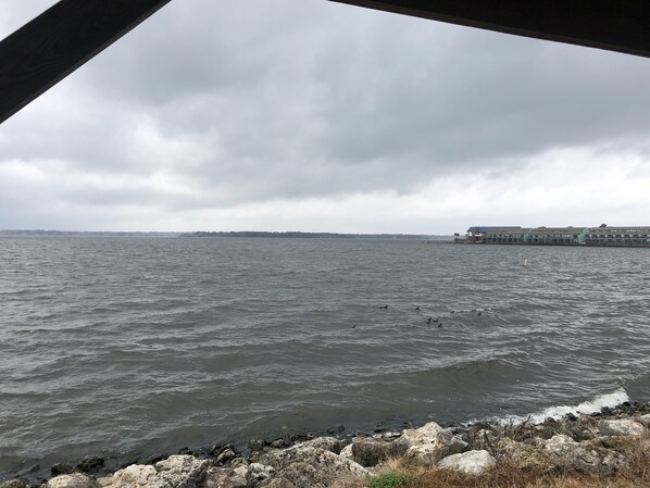 A view of a body of water with a distant shoreline and a structure with multiple levels. - Fish,Drink,Eat,Party right of your private balcony!<br>Ski and boat rental at marin (Willis)