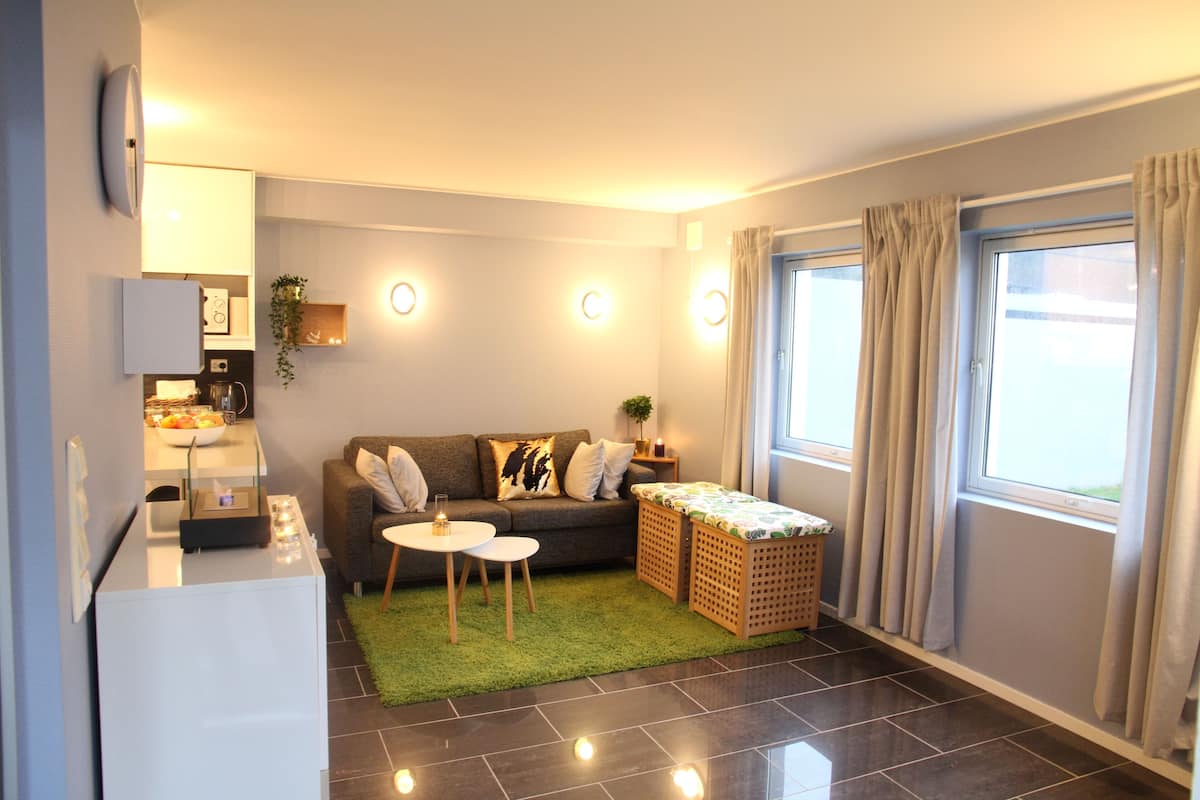 A compact living space with a sofa, a small dining table, a kitchen area, and a window with curtains.