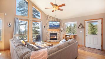 TV connectée, cheminée, jeux vidéo, lecteur de DVD