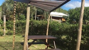 Una pérgola de madera con una mesa debajo, ubicada en un área con césped, árboles y un cielo despejado al fondo.