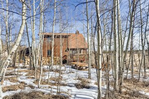 Exterior - Just Renovated! Cozy Cabin backed by Aspens, Pet Friendly / Family Friendly - Aspen Acres (Fairplay)