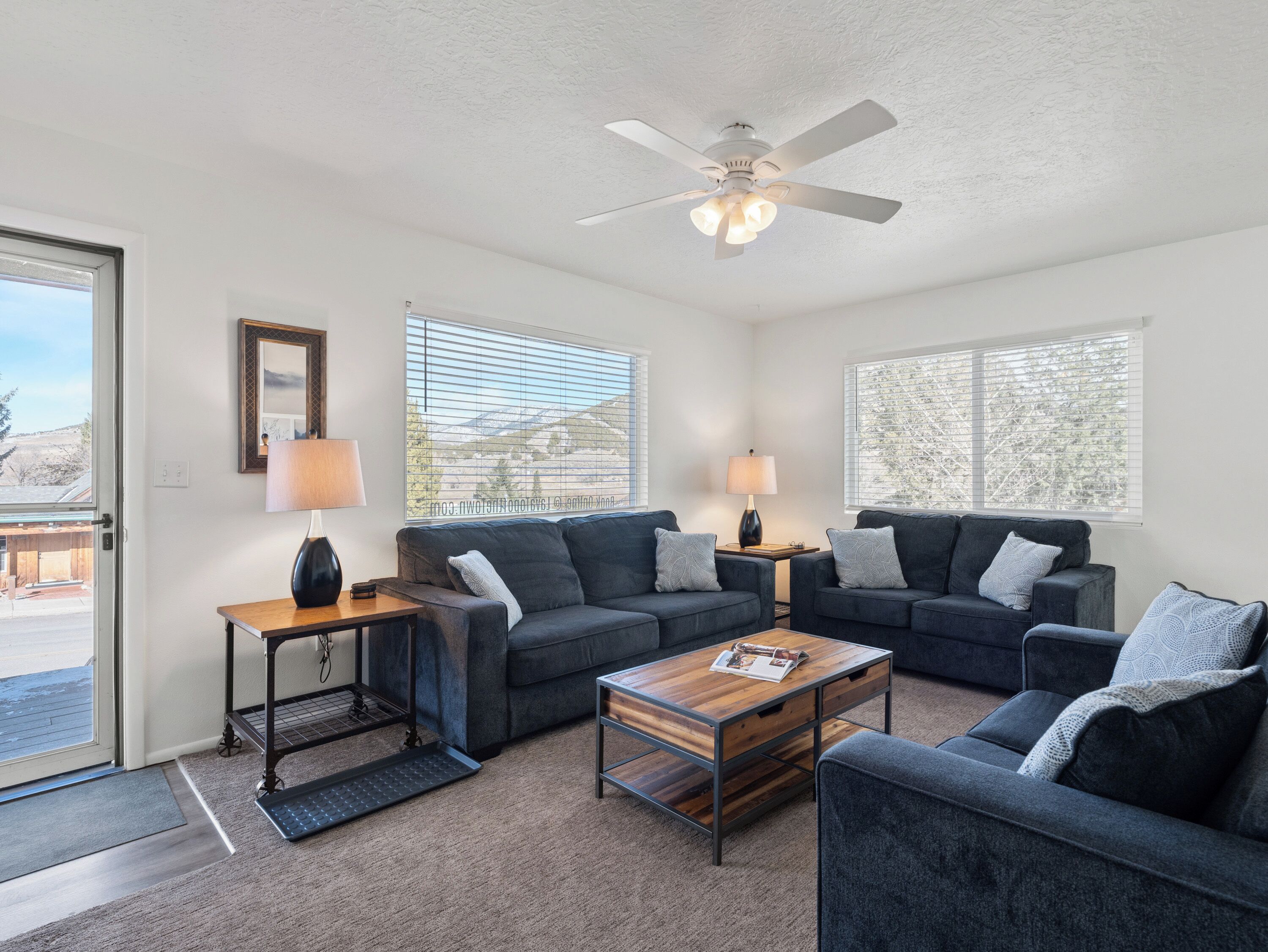 電視、DVD 播放機