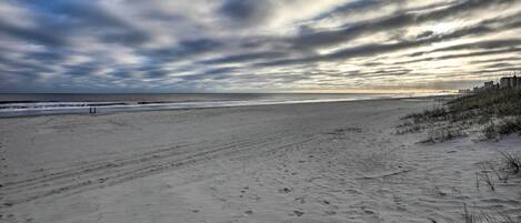 Una playa con huellas y vegetación escasa.