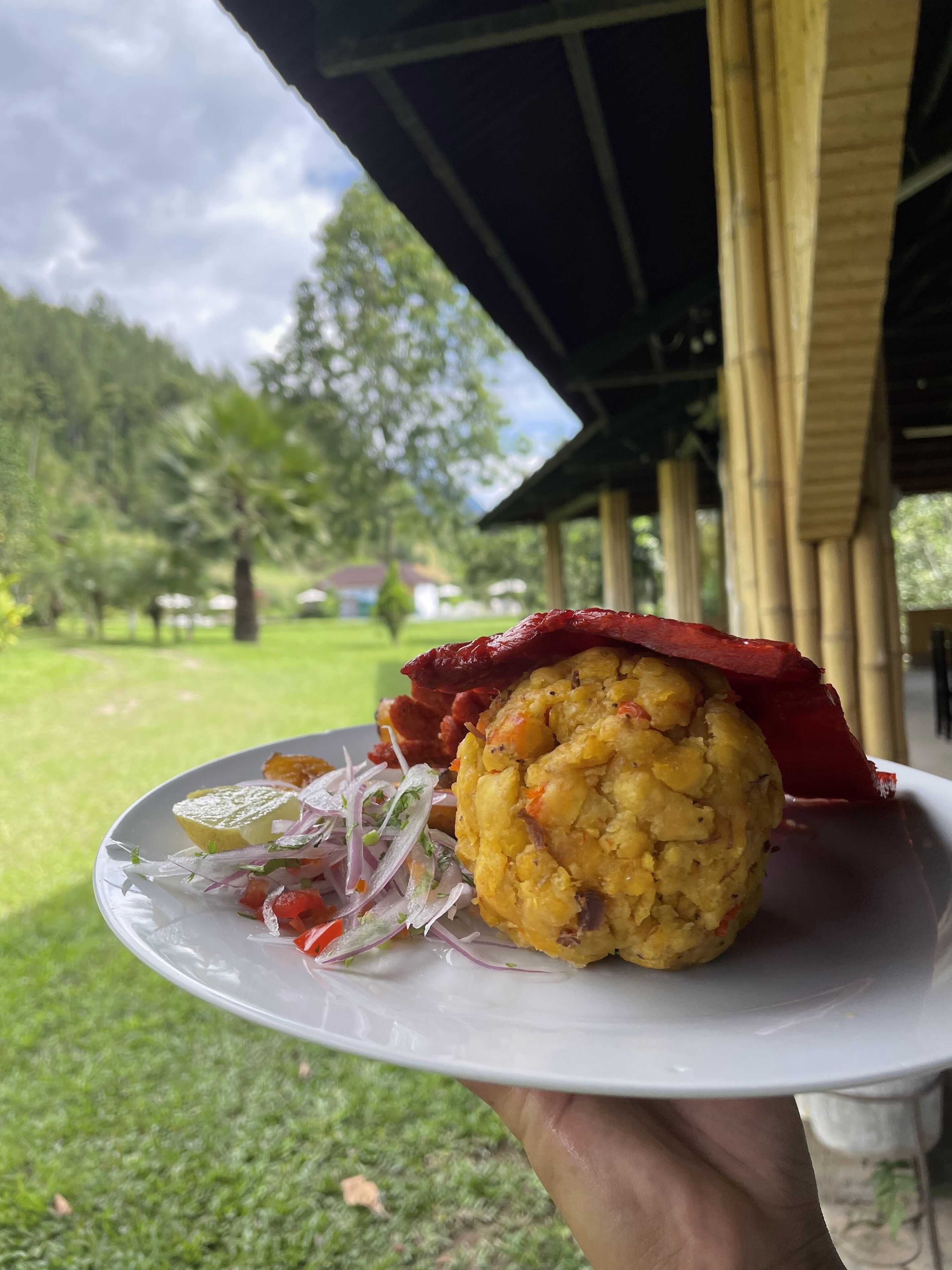 Un plato con comida, sostenido en una mano, al aire libre con un área de césped y árboles al fondo.