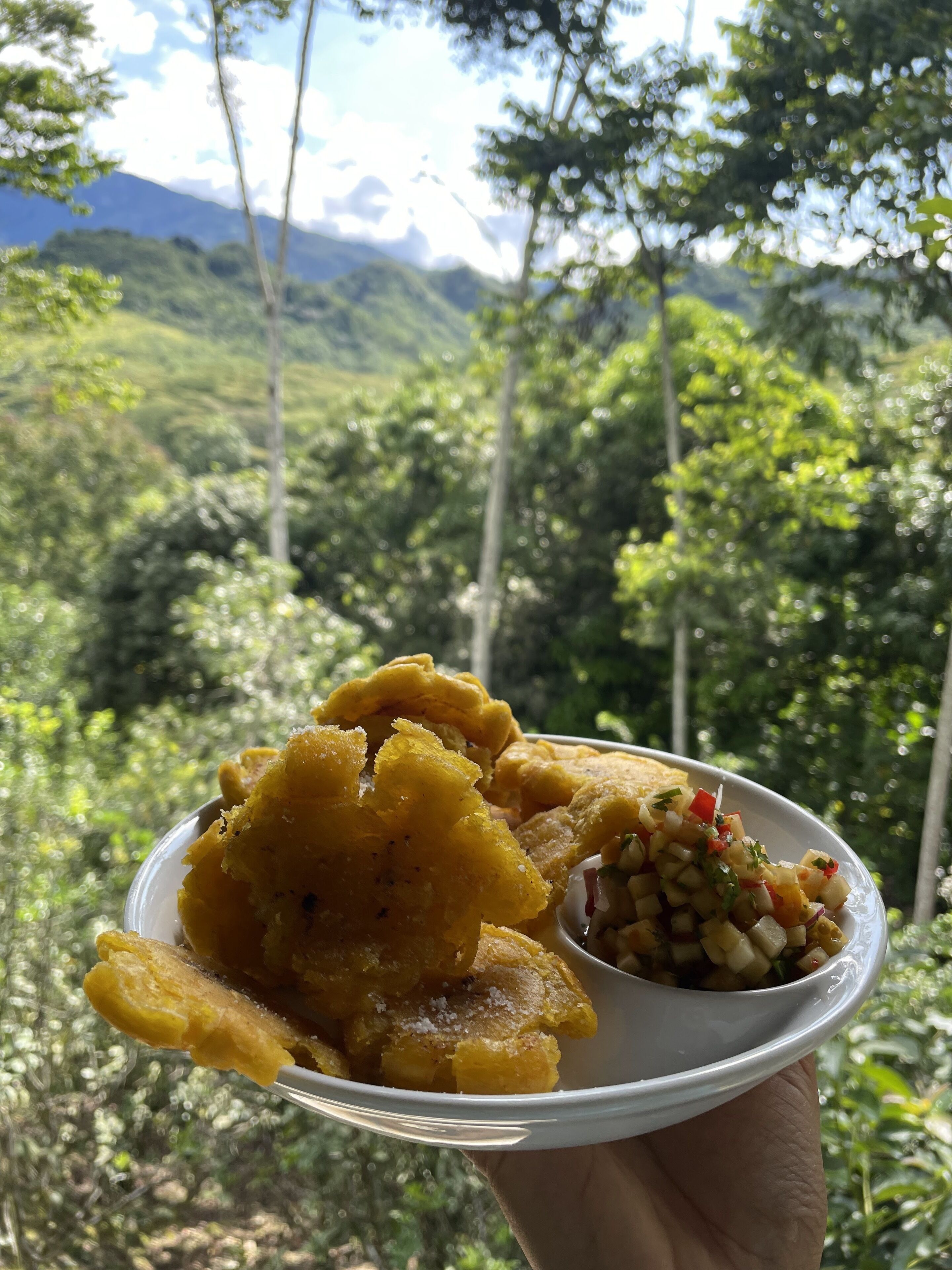 A hand holding a plate with fried plantains and a side of salsa, set against a backdrop of a lush green forest and mountains.