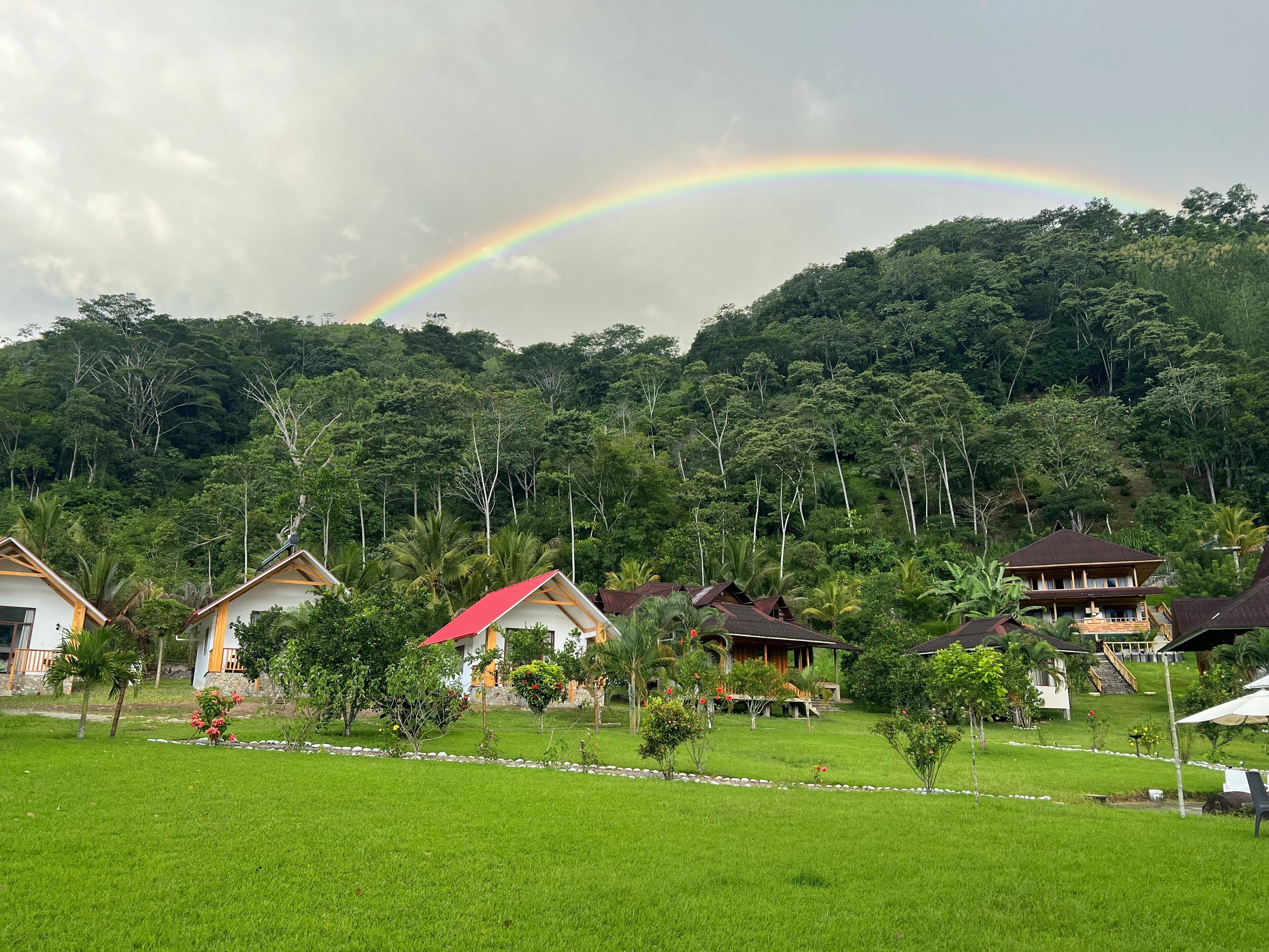 A lush green landscape with a rainbow arching over a cluster of houses surrounded by dense forest.