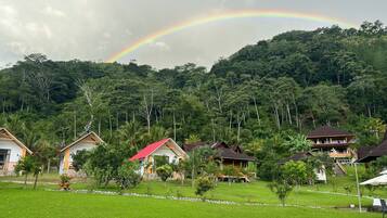 Un paisaje verde exuberante con un arcoíris sobre un grupo de casas rodeadas de un bosque denso.