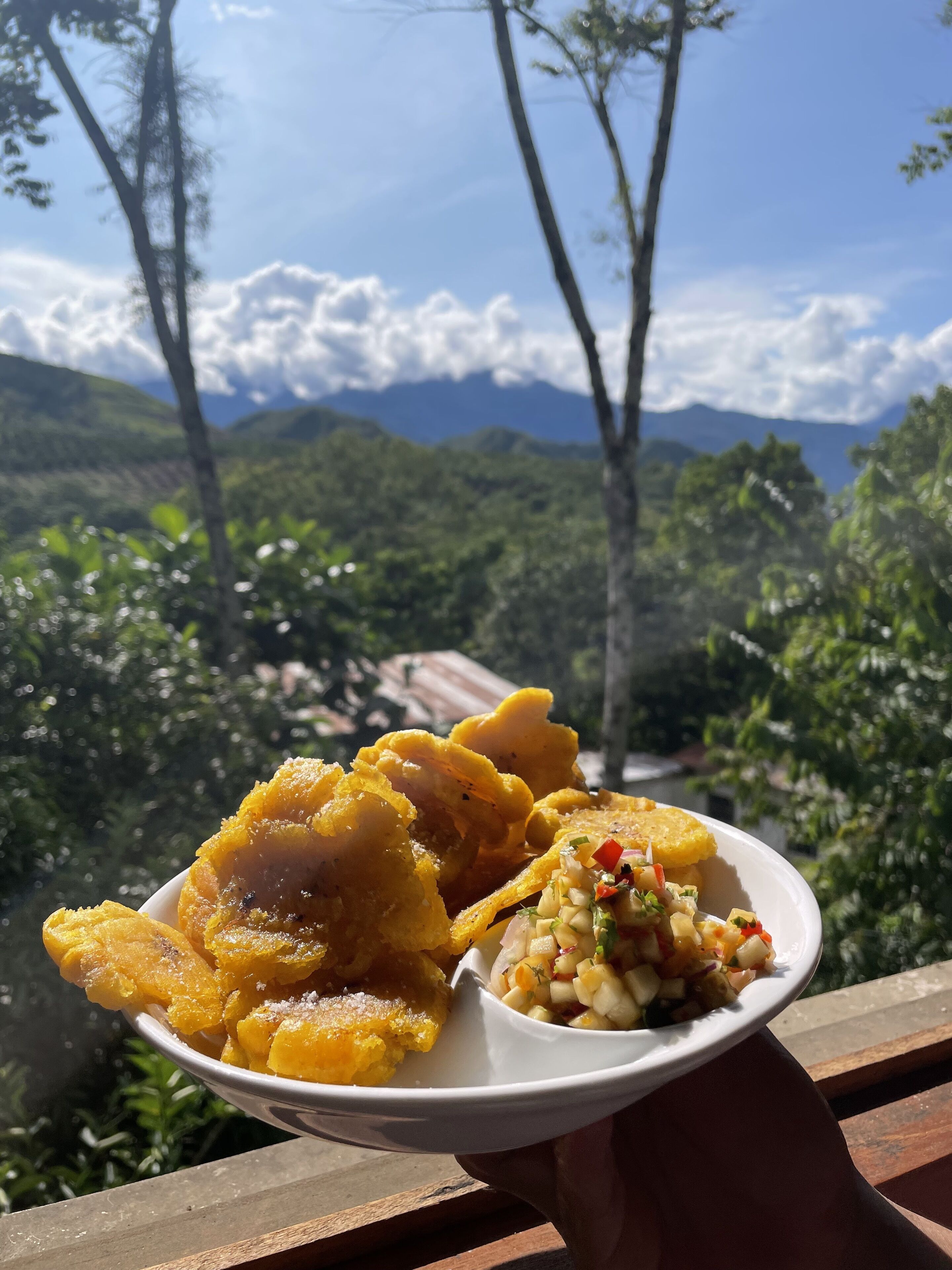 Une assiette de nourriture comprenant des bananes plantains frites et une portion de salsa, le tout présenté sur fond de paysage montagneux.