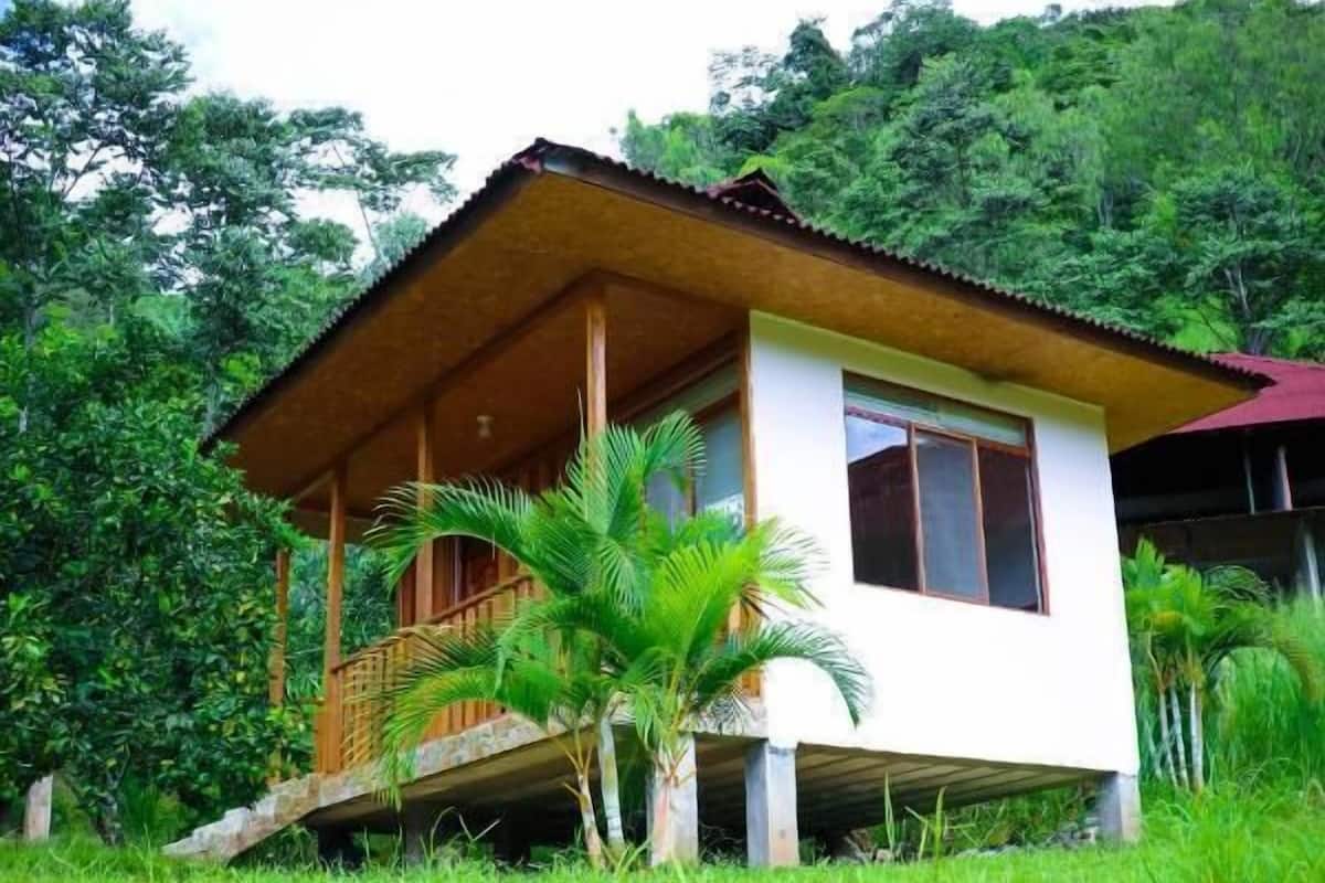 Une maison à deux étages dotée d’un balcon, entourée d’une végétation luxuriante.