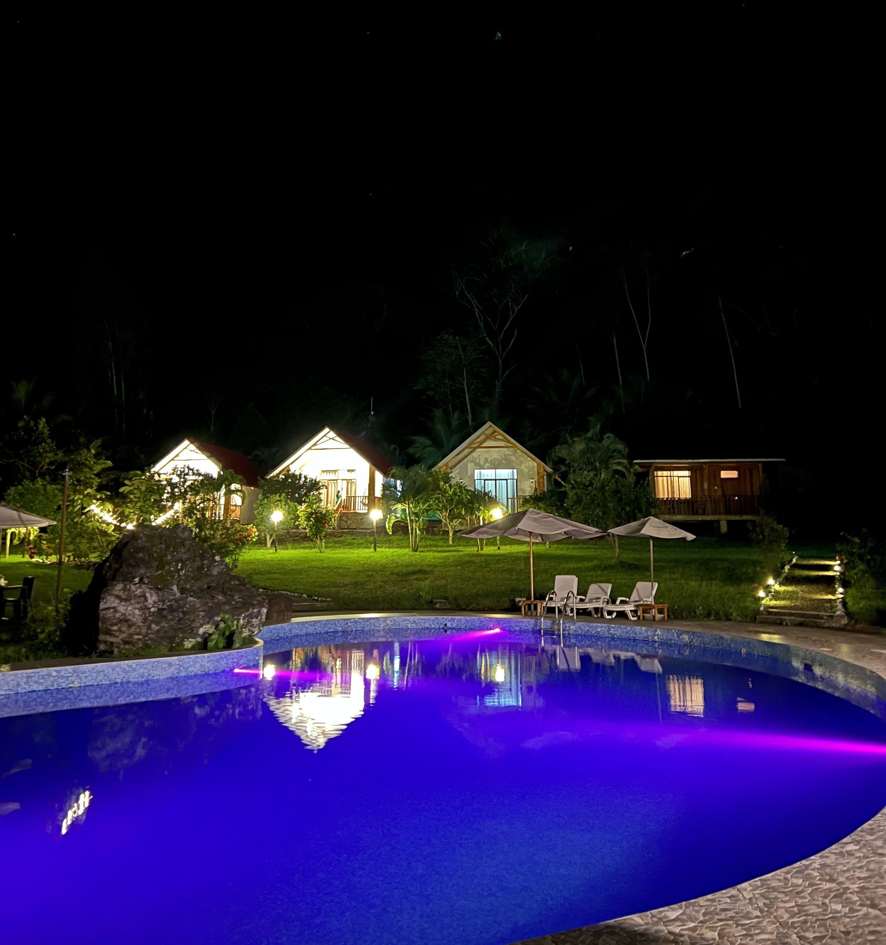 A nighttime swimming pool with a blue hue, surrounded by well-lit houses and a grassy area.
