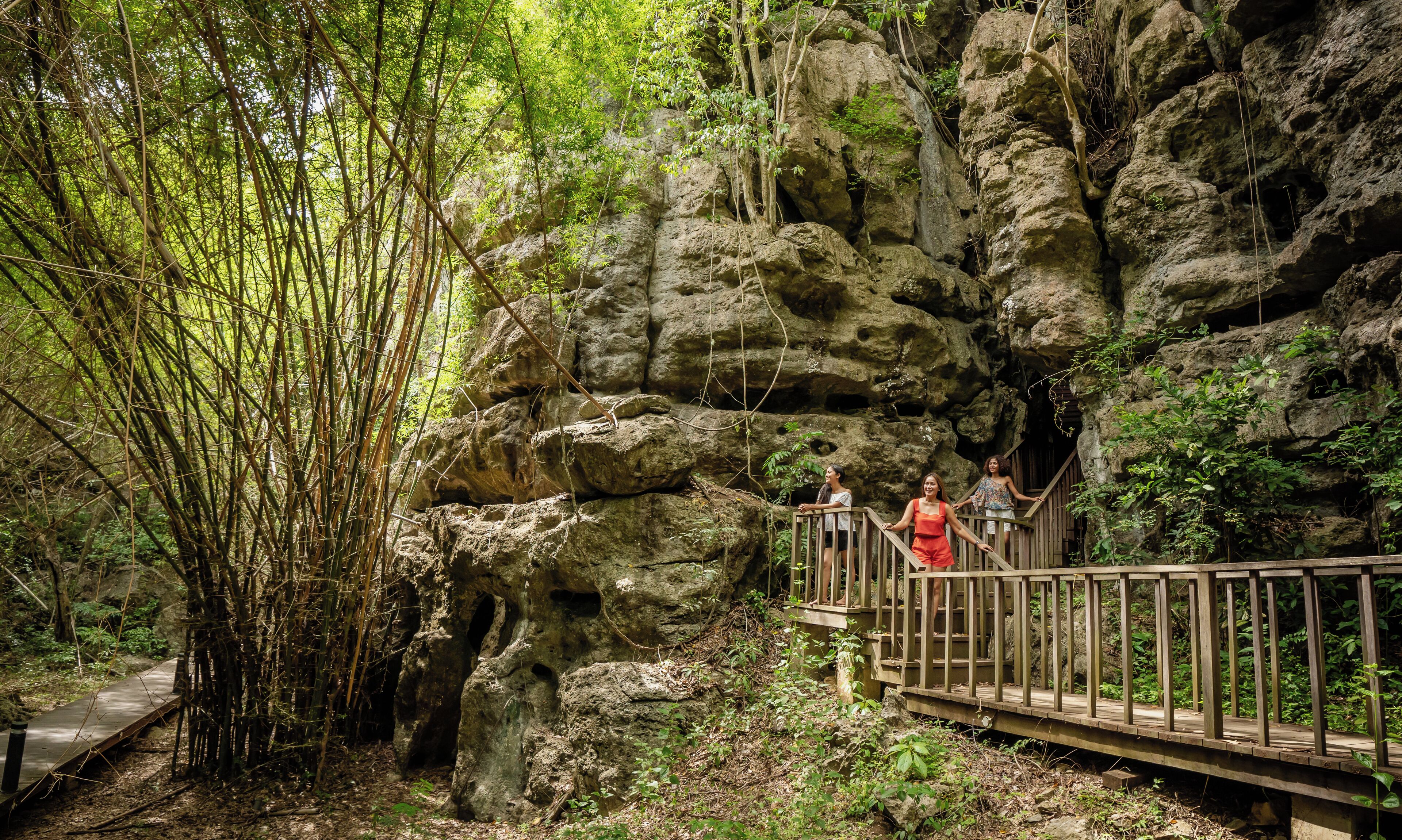 A wooden bridge in a forested area with rocky cliffs and bamboo.