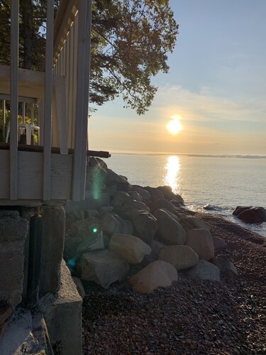 Studio Croftville Roadilla