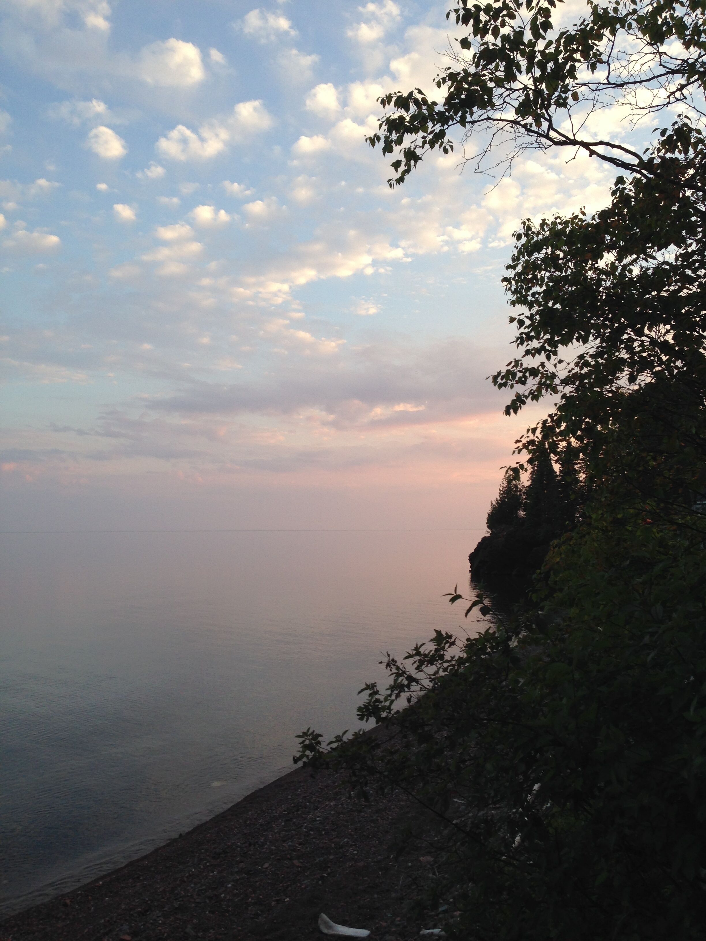 A coastal landscape with a view of the sea and a tree line.