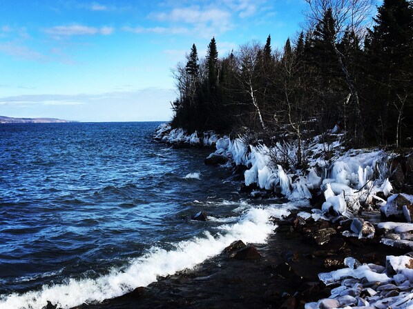 A rocky shoreline with ice formations and a forested area.