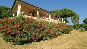 A building with a sloped roof, surrounded by a well-maintained garden with red flowering plants.