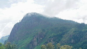 Una montaña con un bosque denso en su base y un cielo despejado.