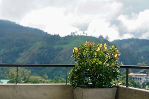 Economy tweepersoonskamer | Uitzicht vanaf balkon