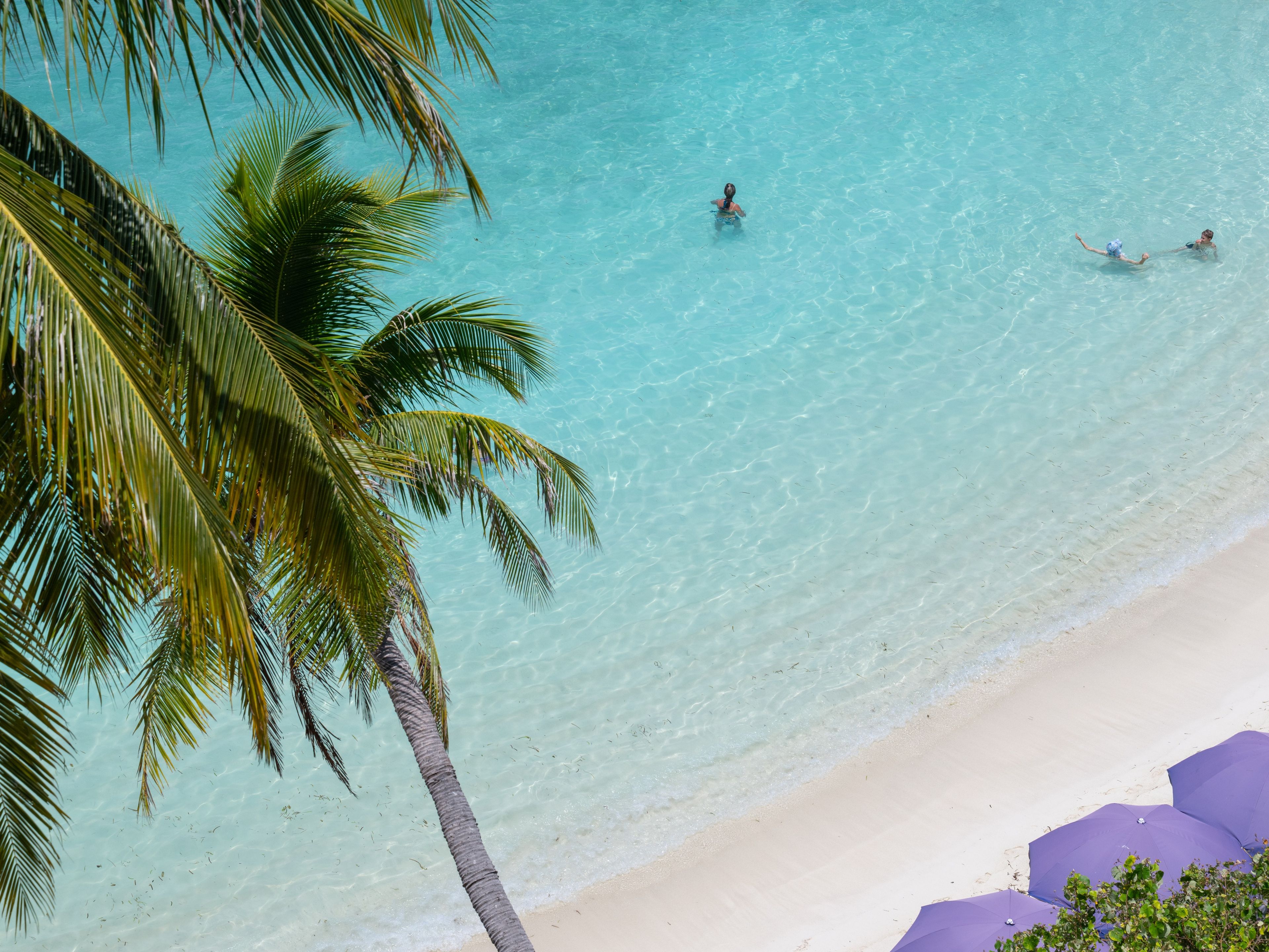 A beach with clear turquoise water, palm trees, and a sandy shore.